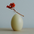Egg Candle